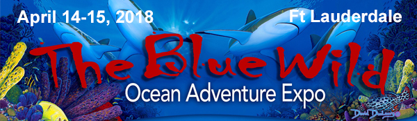 blue wild expo