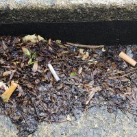 Urban Beach Clean Cigarettes