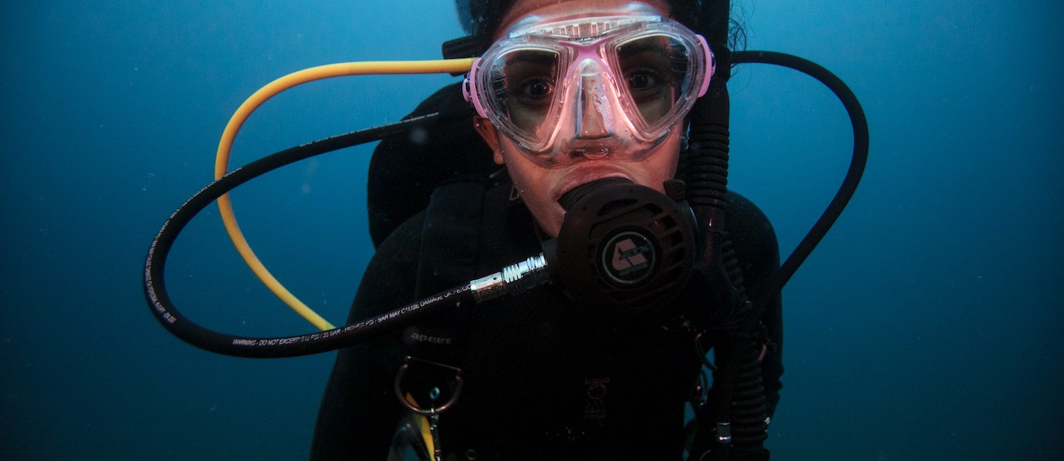 Scuba Careers: Becoming A Marine Biologist