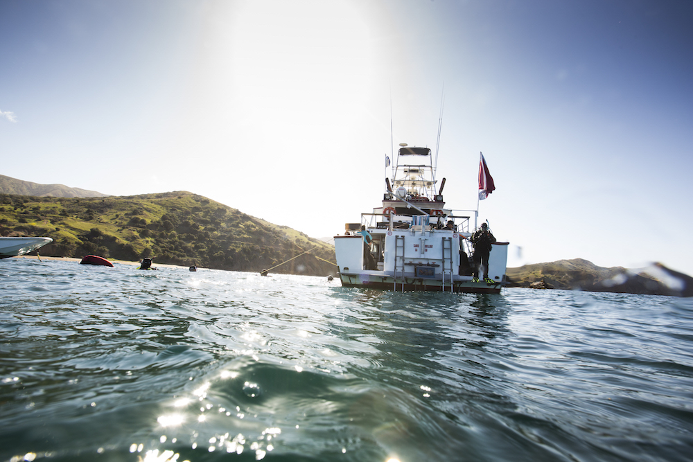 Catalina Island - Dive Sites in Los Angeles