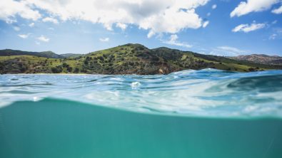 scuba diving catalina island in california Photo: Tod Warren