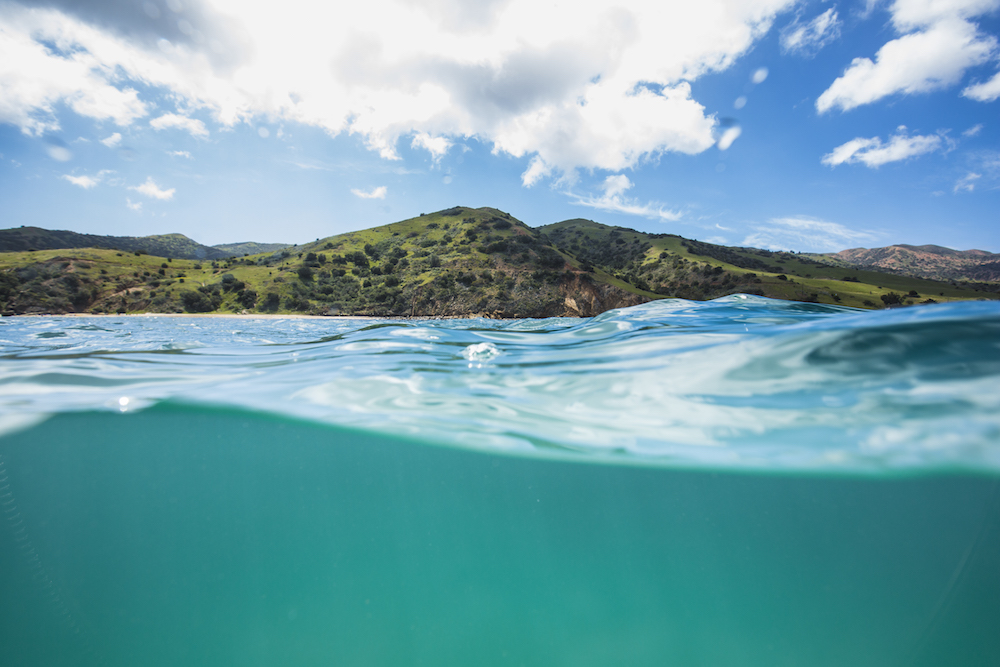 scuba diving catalina island in california Photo: Tod Warren