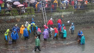今年はテレ東の人気番組「池の水ぜんぶ抜く」とコラボ。小田原城のお堀をボランティアダイバーが水中清掃！