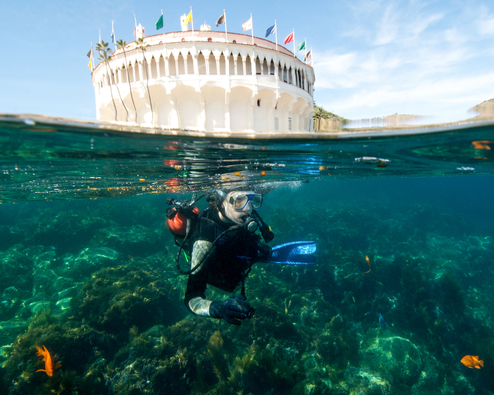 scuba diving casino point photo by brent barnes