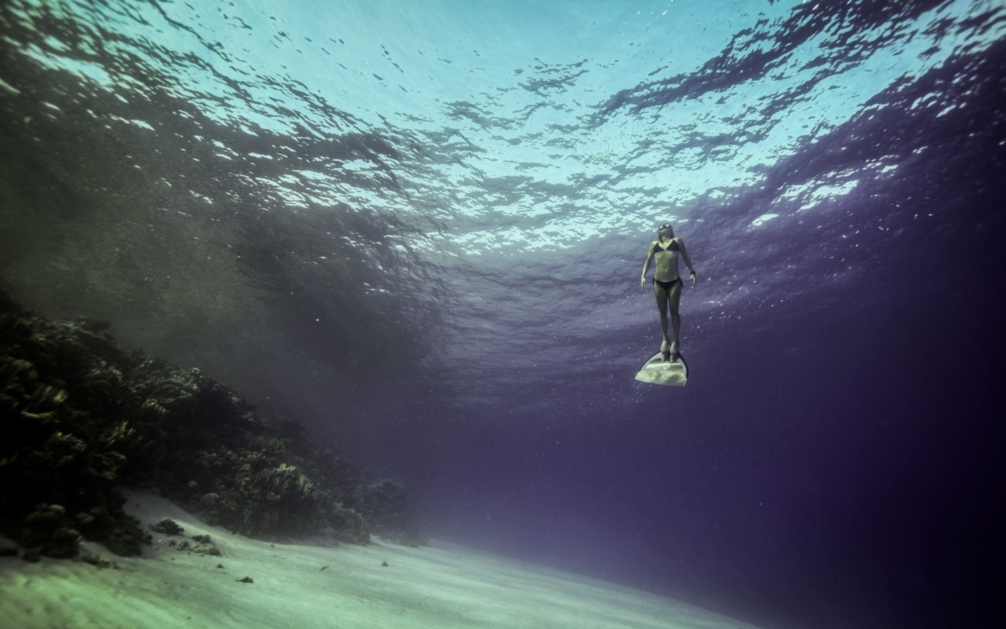 PADI AmbassaDiver Renee Blundon Being Free