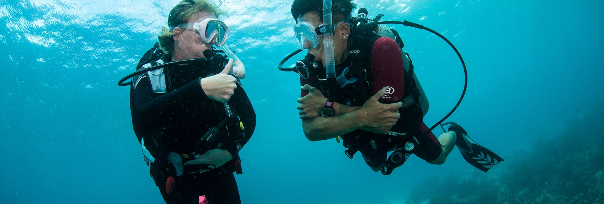 An Important Word for Your Diver Vocabulary