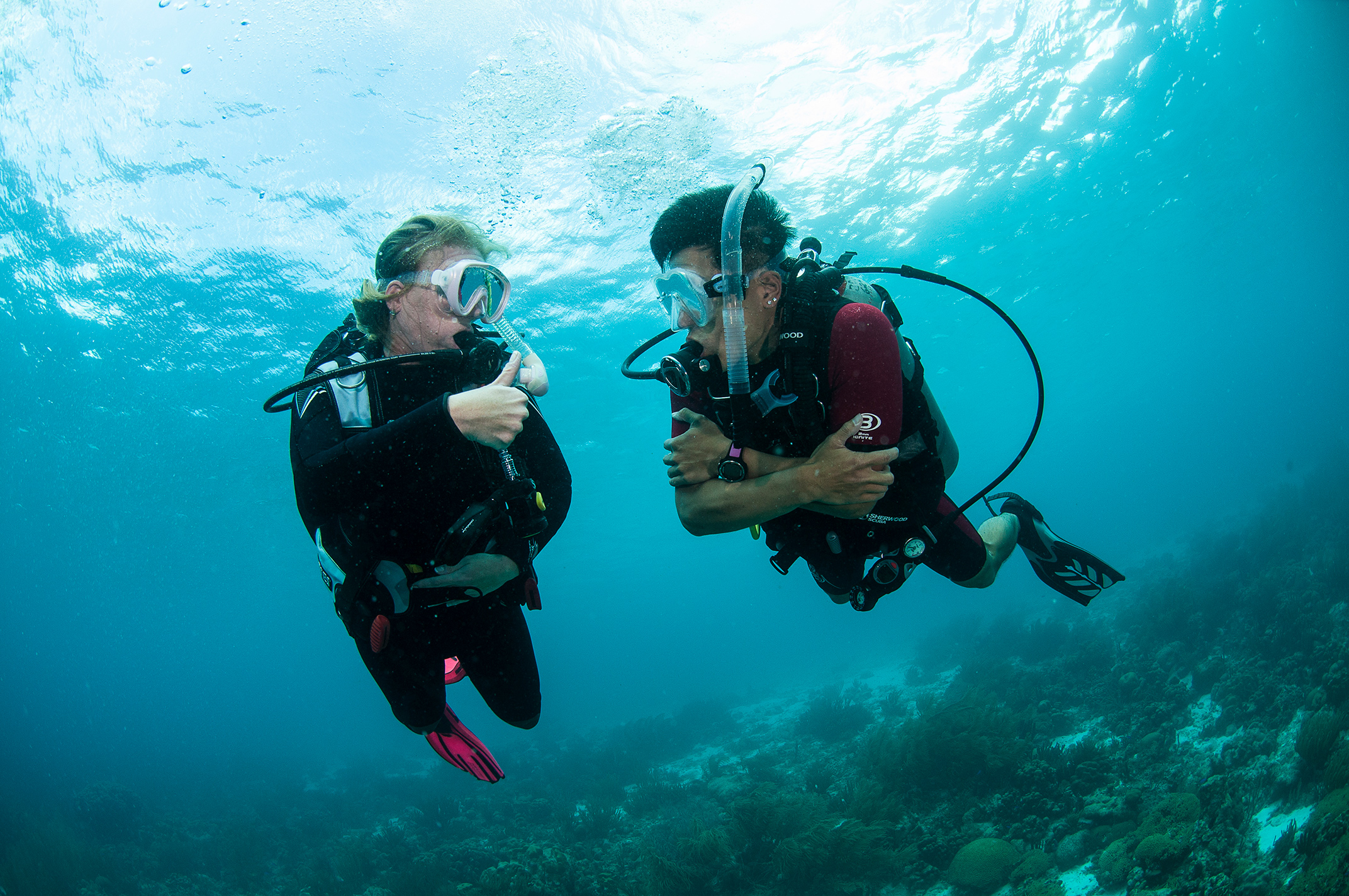 A scuba diver tells their buddy they want to ascend by showing a thumbs up, which is one of the basic hand signals in diving