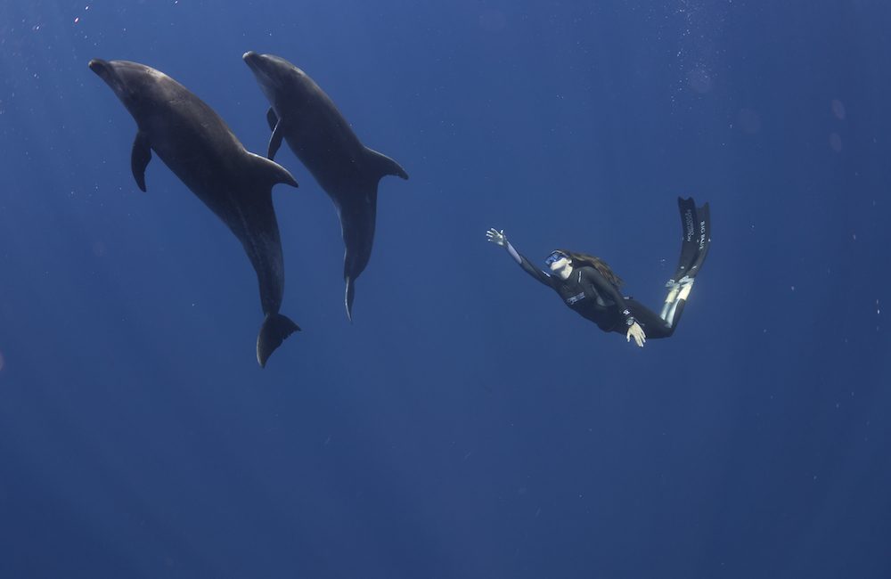 The Socorro Evolution: Filming for a Cause