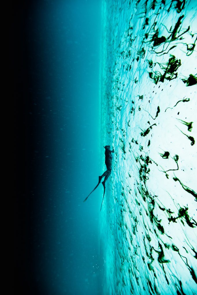 Kimi Werner professional freediver. Photo Perrin James