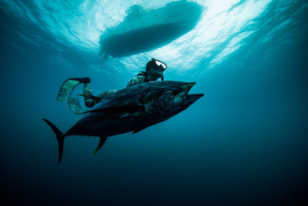 Kimi Werner professional freediver. Photo Perrin James