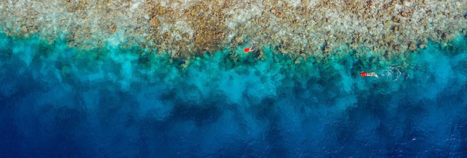 A Local’s Guide to Visiting and Diving in Turkey