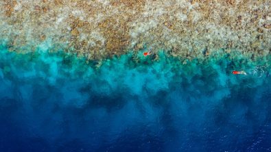 drove view of turkey water