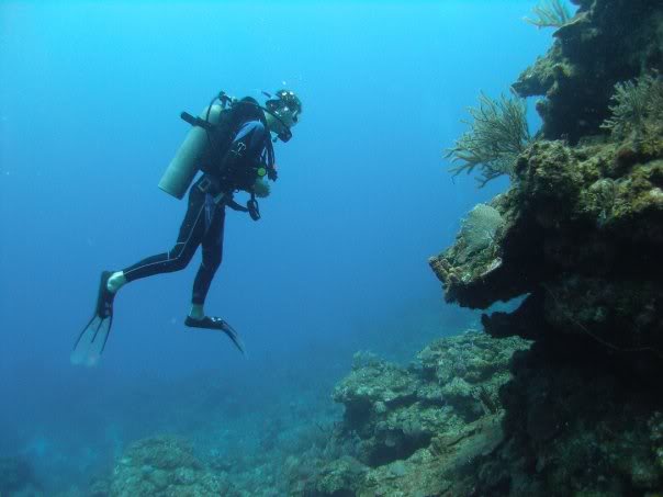 Diving in Roatan, Honduras 