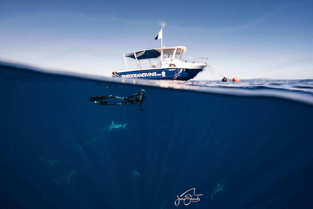 ocean ramsey Photo: Juan Oliphant