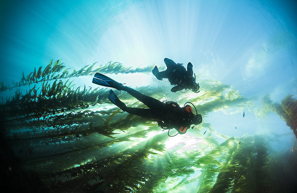 Join PADI at Scuba Show in California