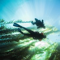 scuba show long beach