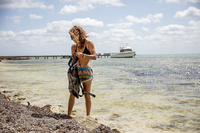 Beach clean for ocean health when travelling