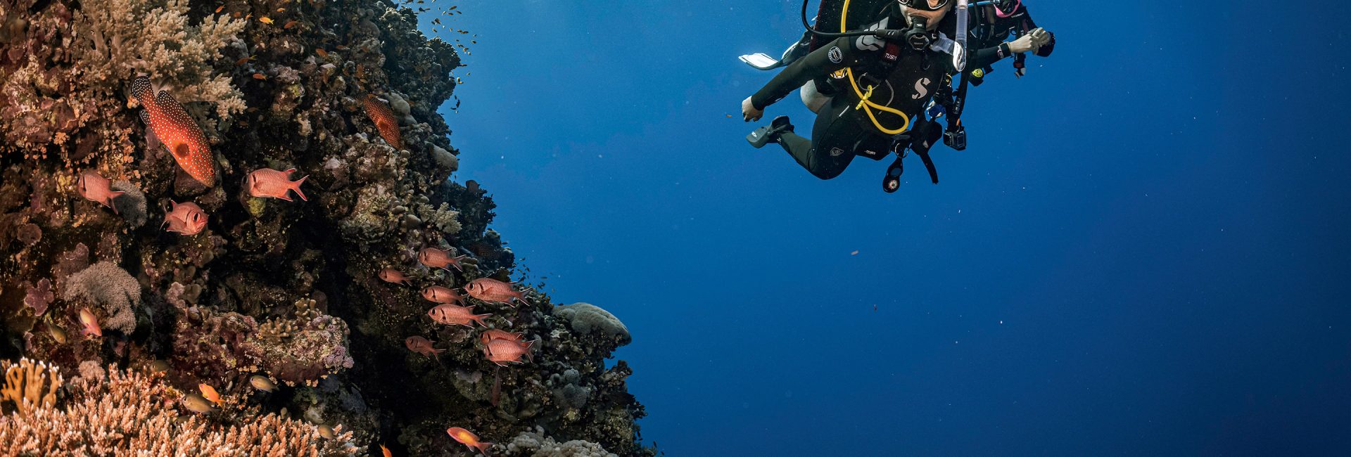 Scuba Certification: Everything You Need to Know