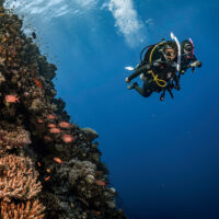 two divers explore a coral wall in the Red Sea in Egypt