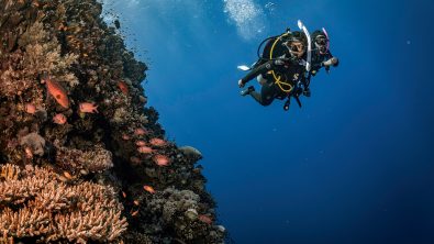 two divers explore a coral wall in the Red Sea in Egypt