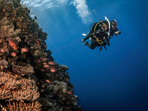 two divers explore a coral wall in the Red Sea in Egypt