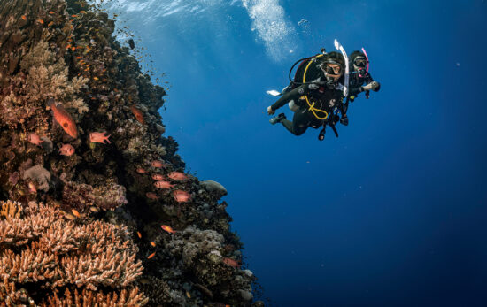 two divers explore a coral wall in the Red Sea in Egypt