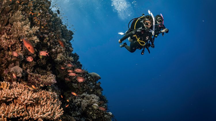 two divers explore a coral wall in the Red Sea in Egypt