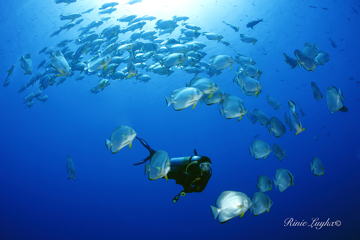 dive trip red sea