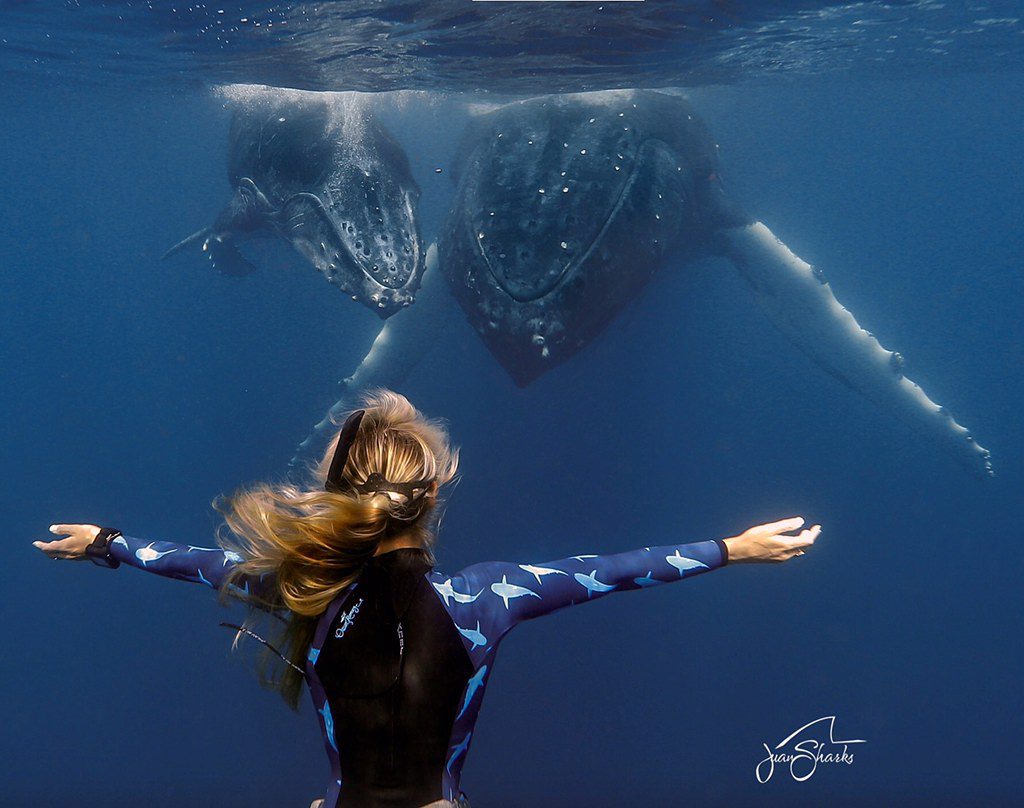 ocean ramsey Photo: Juan Oliphant