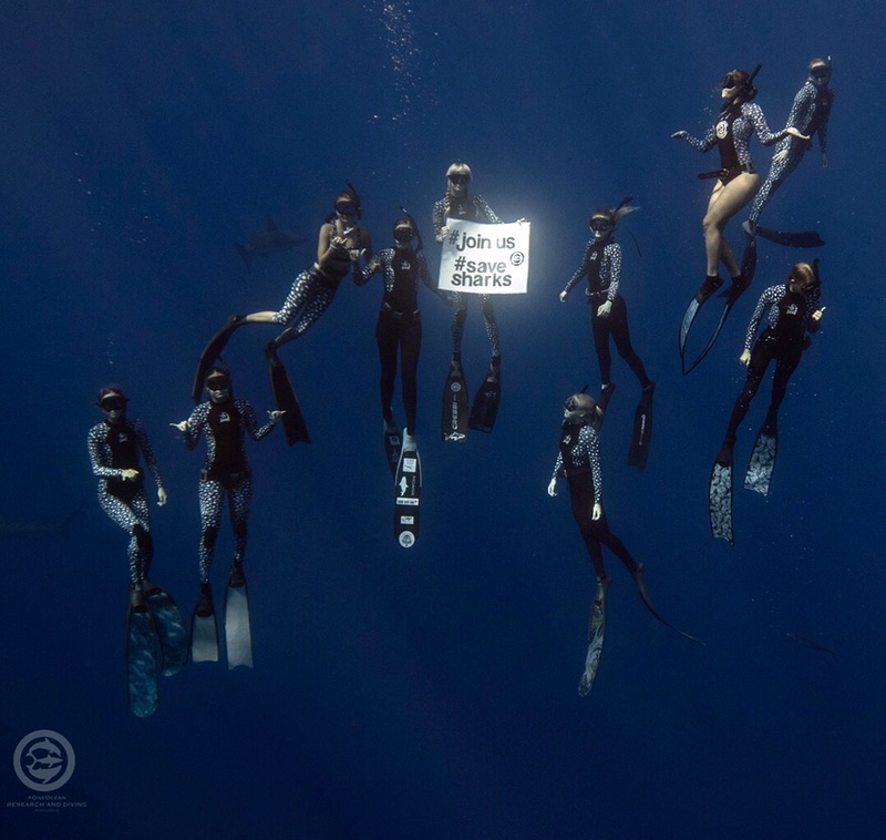 ocean ramsey Photo: Juan Oliphant