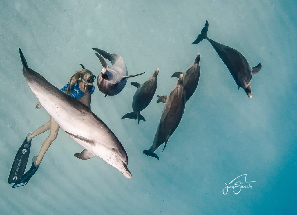 ocean ramsey Photo: Juan Oliphant