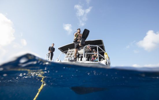 grand cayman scuba diving