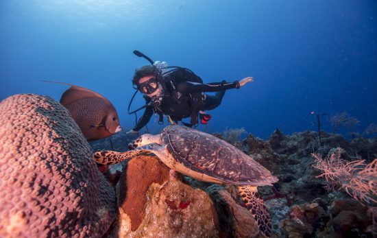 a scuba diver underwater looking at a turtle