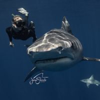 ocean ramsey Photo: Juan Oliphant