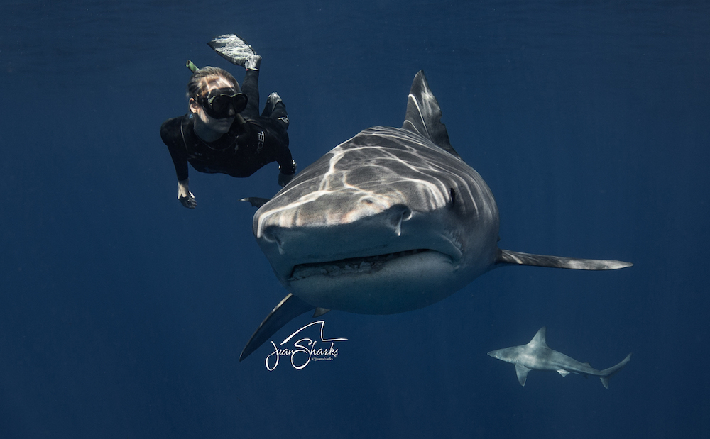 ocean ramsey Photo: Juan Oliphant