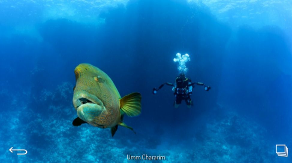 Umm Chararim - Red Sea