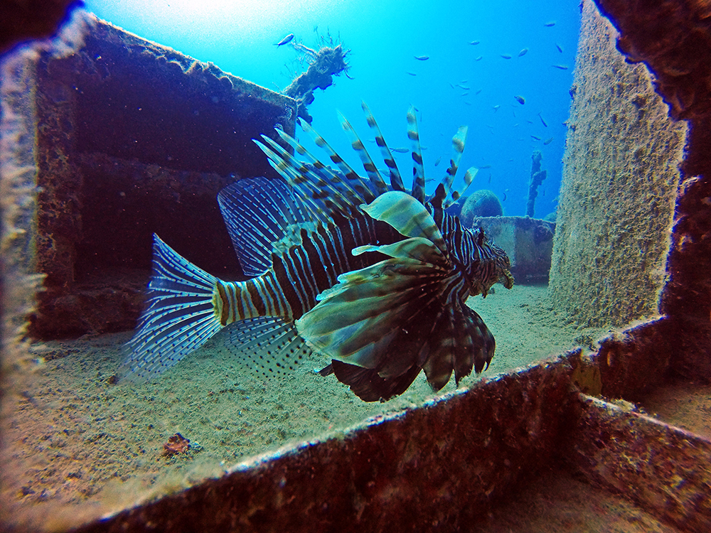 Side Underwater Museum