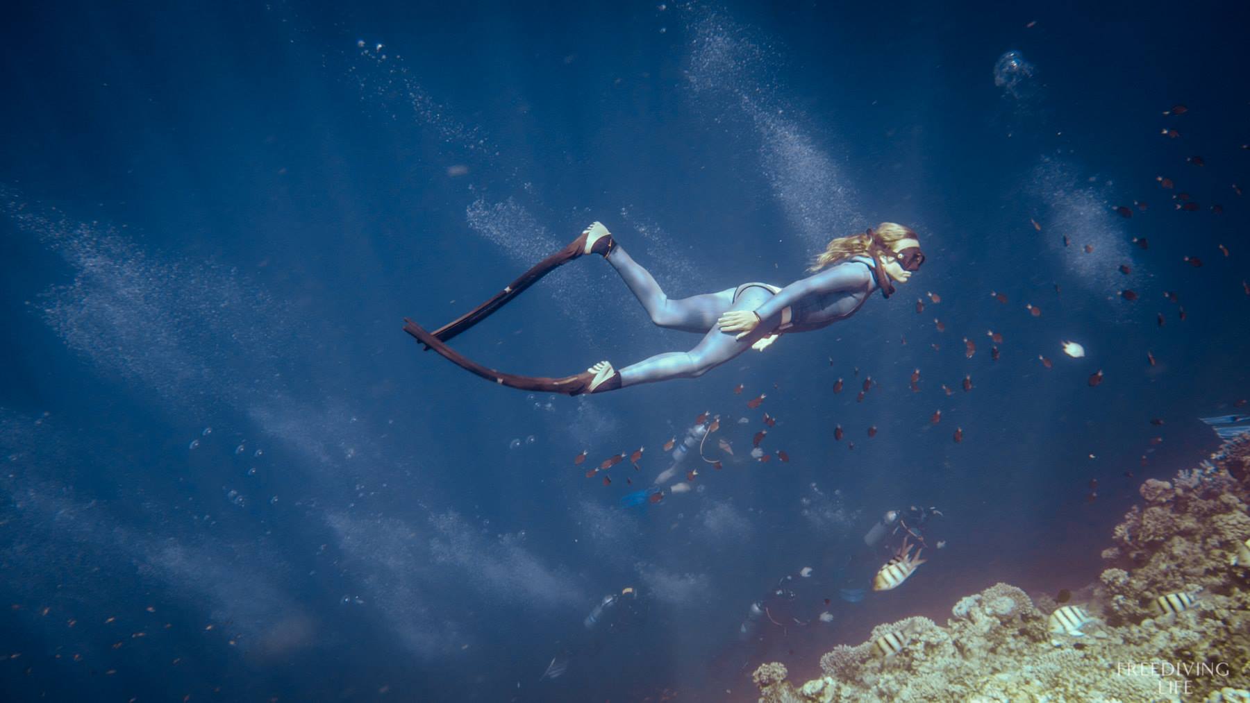 PADI Freediver AmbassaDiver Renee Blundon