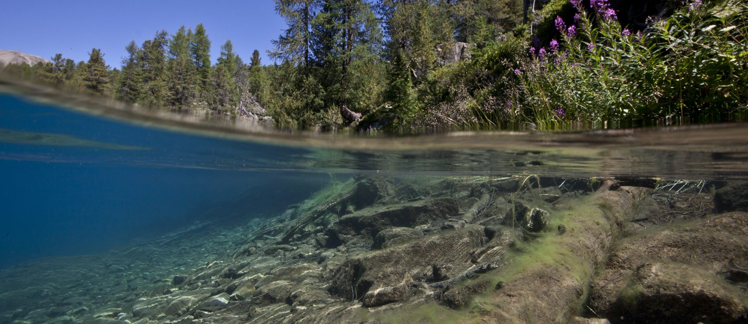 Visit an underwater photography exhibition in Switzerland for PADI Women’s Dive Day