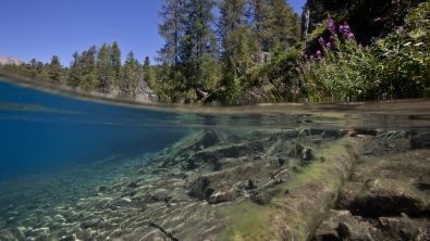 Swiss Underwater photography ecxhibition
