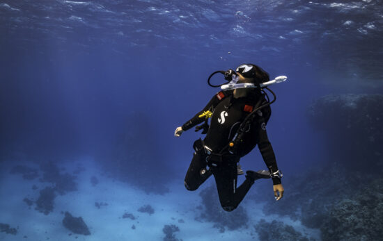 A female scuba diver in the Red Sea looks towards the surface