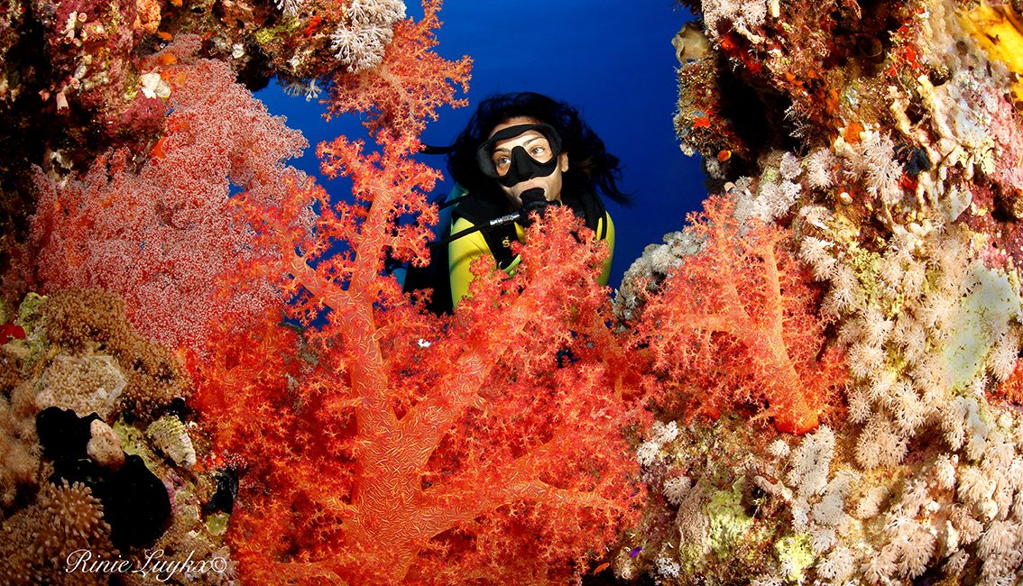 Becoming a PADI Master Instructor with Beth Sanders