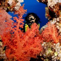 Female Diver at Camel Dive Club - Credit Rinie Luyka