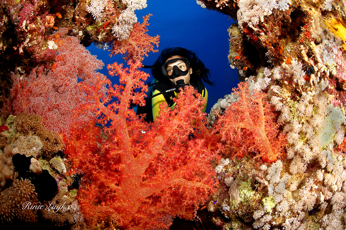 Female Diver at Camel Dive Club - Credit Rinie Luyka