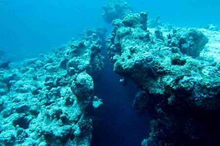 Freediving in Dahab, Canyon