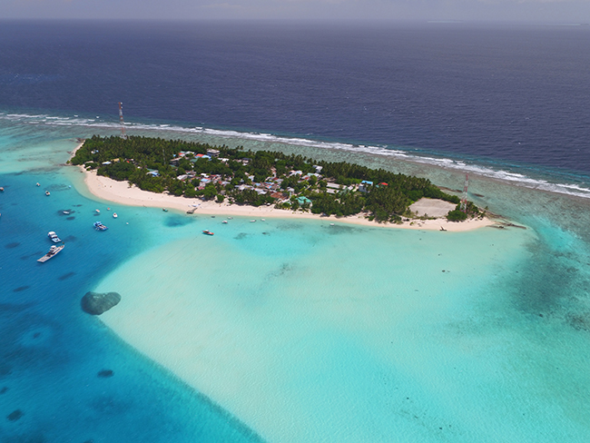 Maldives local island diving trip