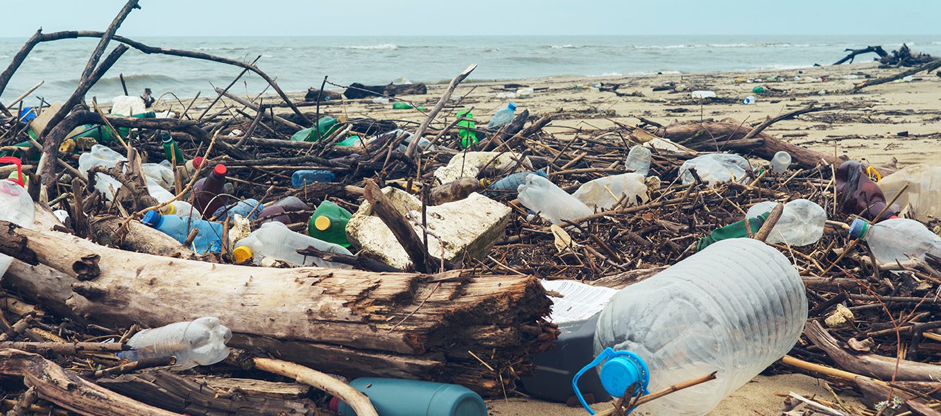 Documenting the Plastic Problem