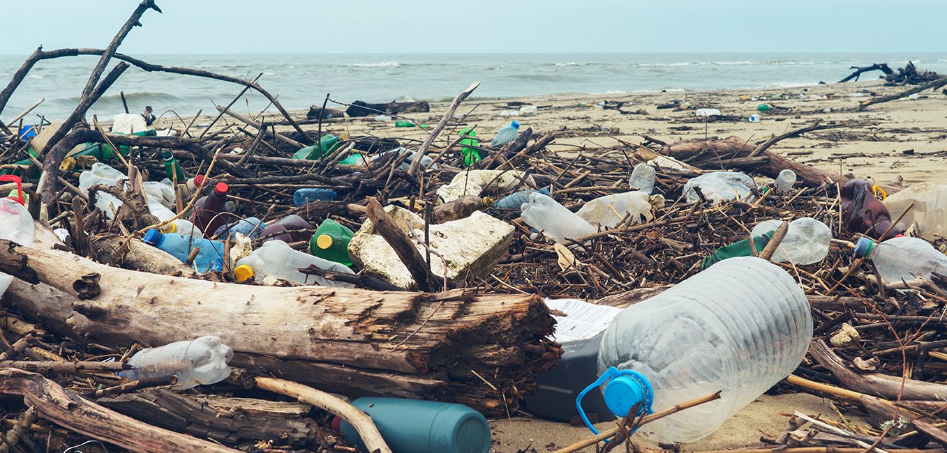 Documenting the Plastic Problem