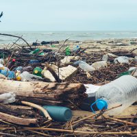 Plastic Britain