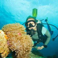 alex baackes dive and yoga retreat